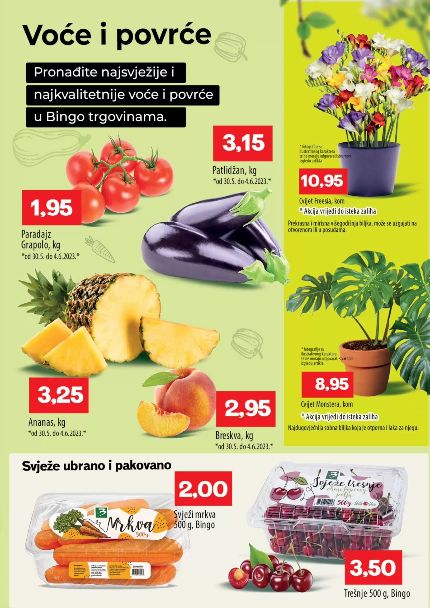 Bingo katalog ENISOVA AKCIJA 30.5-11.6.2023.