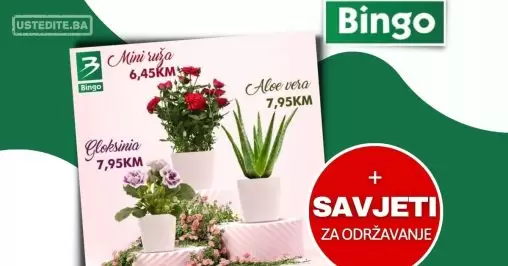 Bingo AKCIJA ⇢CVIJEĆE 22-25.6.2023.