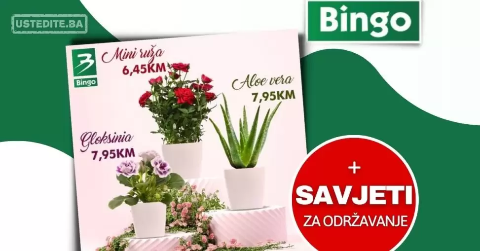 Bingo AKCIJA ⇢CVIJEĆE 22-25.6.2023.