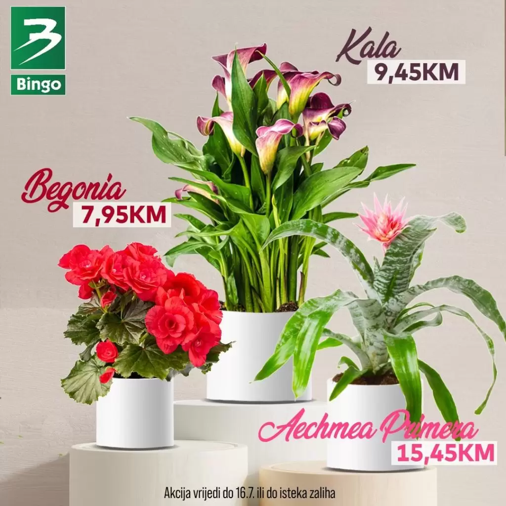 Bingo AKCIJA CVIJEĆA - sniženje do 16.7.2023.