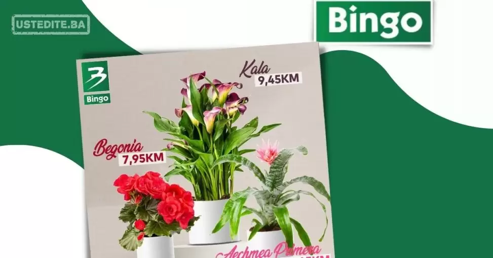 Bingo AKCIJA CVIJEĆA - sniženje do 16.7.2023.