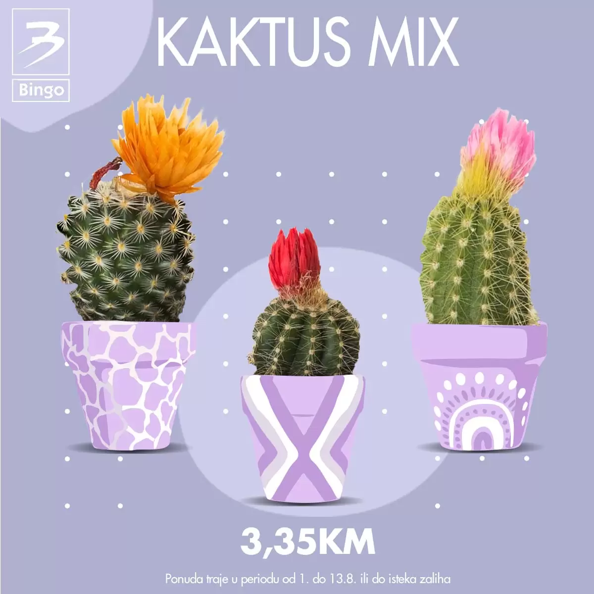 Bingo AKCIJA CVIJEĆA 1-13.8.2023.