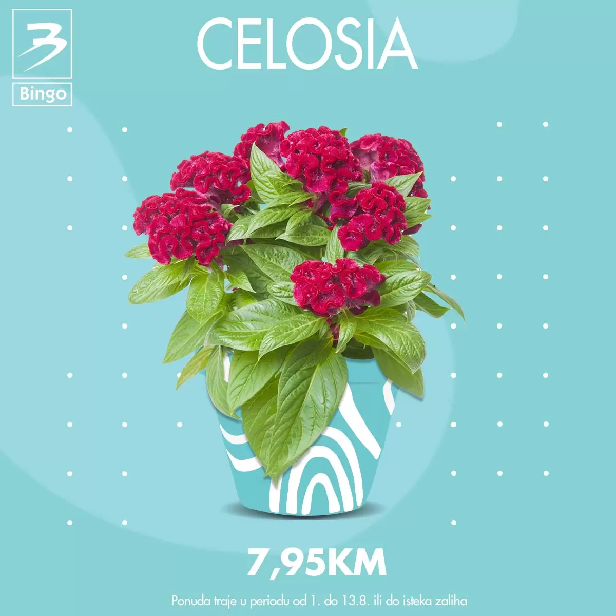 Bingo AKCIJA CVIJEĆA 1-13.8.2023.
