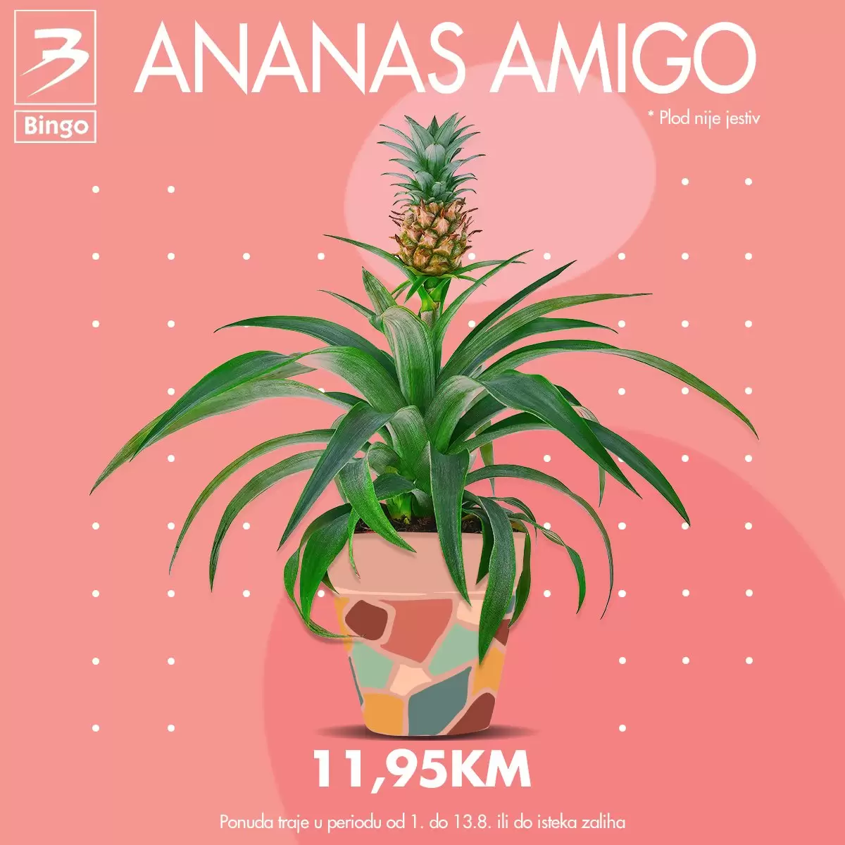 Bingo AKCIJA CVIJEĆA 1-13.8.2023.