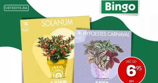 Bingo AKCIJA CVIJEĆE 28.8-5.9.2023.