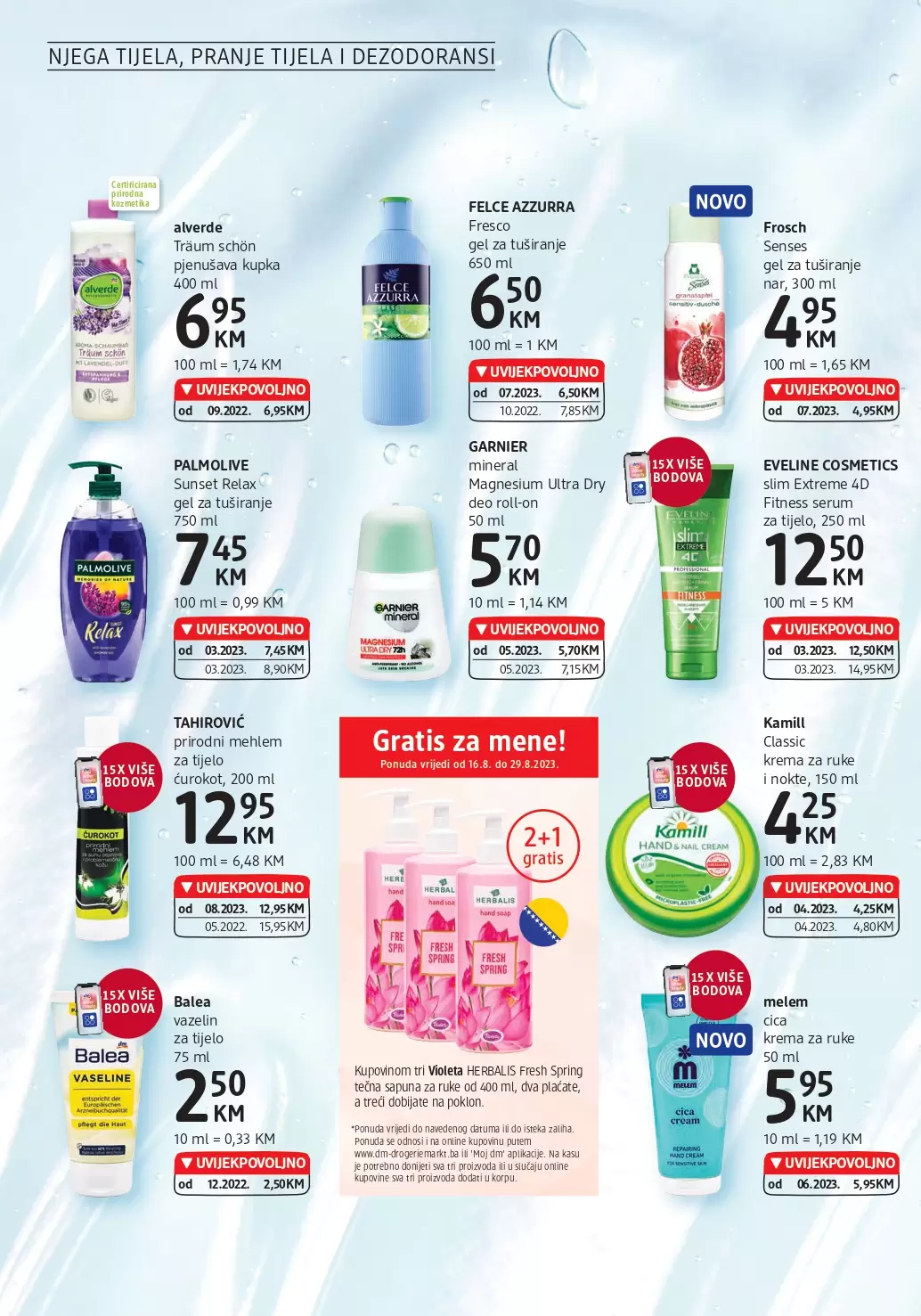 dm Katalog 16-29.8.2023