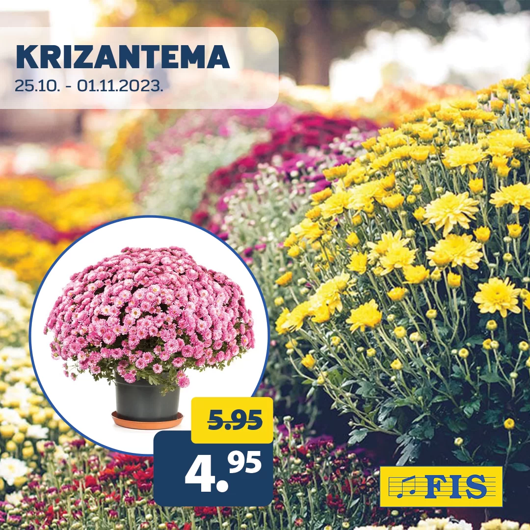 Fis SVI SVETI - sniženje 25.10-5.11.2023.