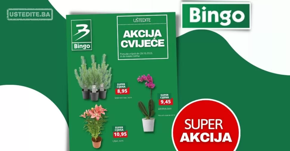 Bingo AKCIJA CVIJEĆA - sniženje do 29.10.2023.