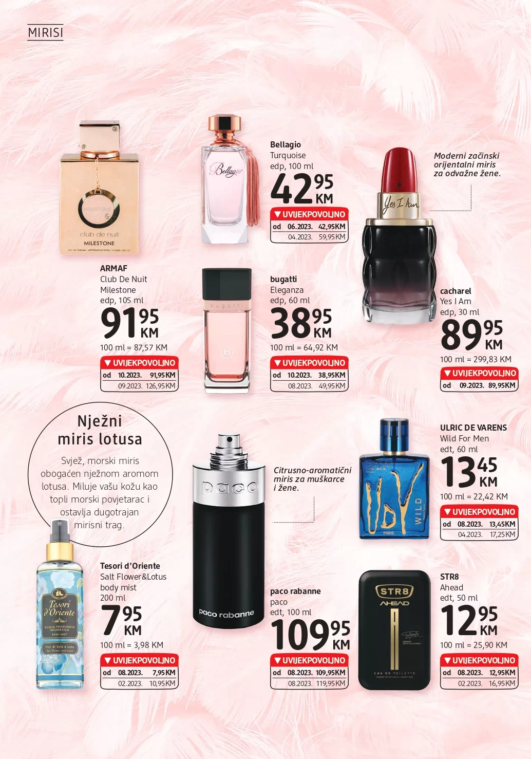 dm KATALOG 11-24.10.2023