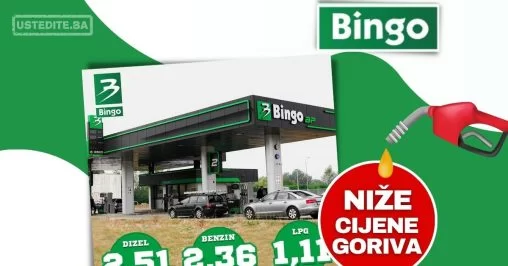 BINGO PETROL