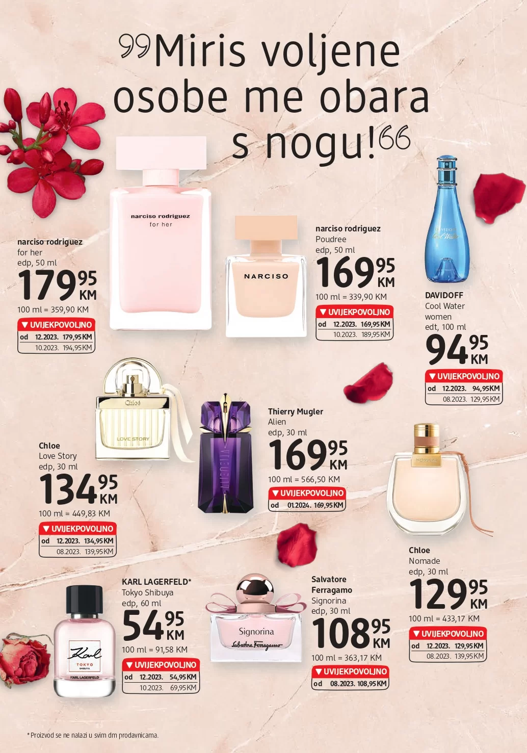 dm Katalog 31.1-13.2.2024.