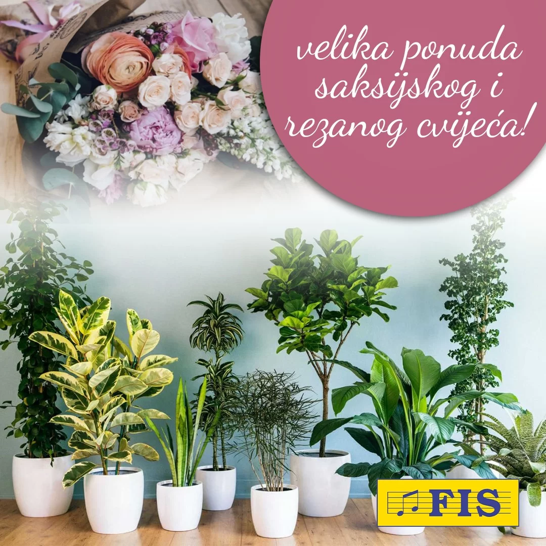 Fis katalog 8. MART 1-8.3.2024.  