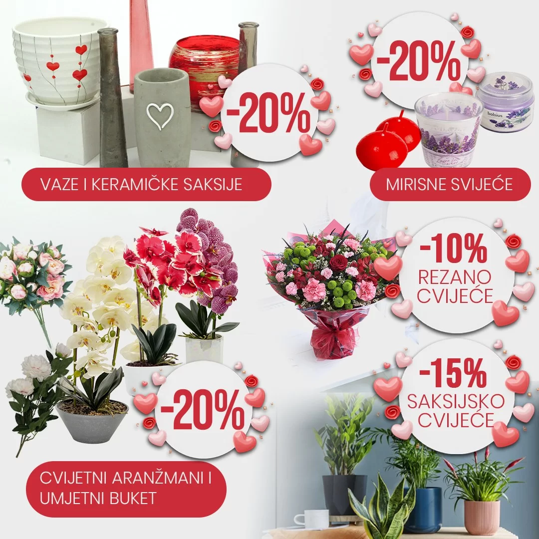 Fis katalog VALENTINOVO 8-14.2.2024.