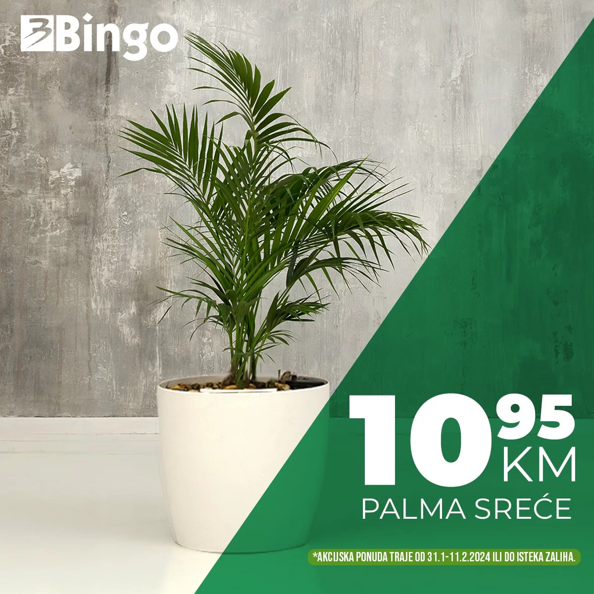 Bingo akcija CVIJEĆE - sniženje do 11.2.2024.