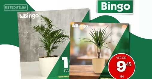 Bingo akcija CVIJEĆE - sniženje do 11.2.2024.