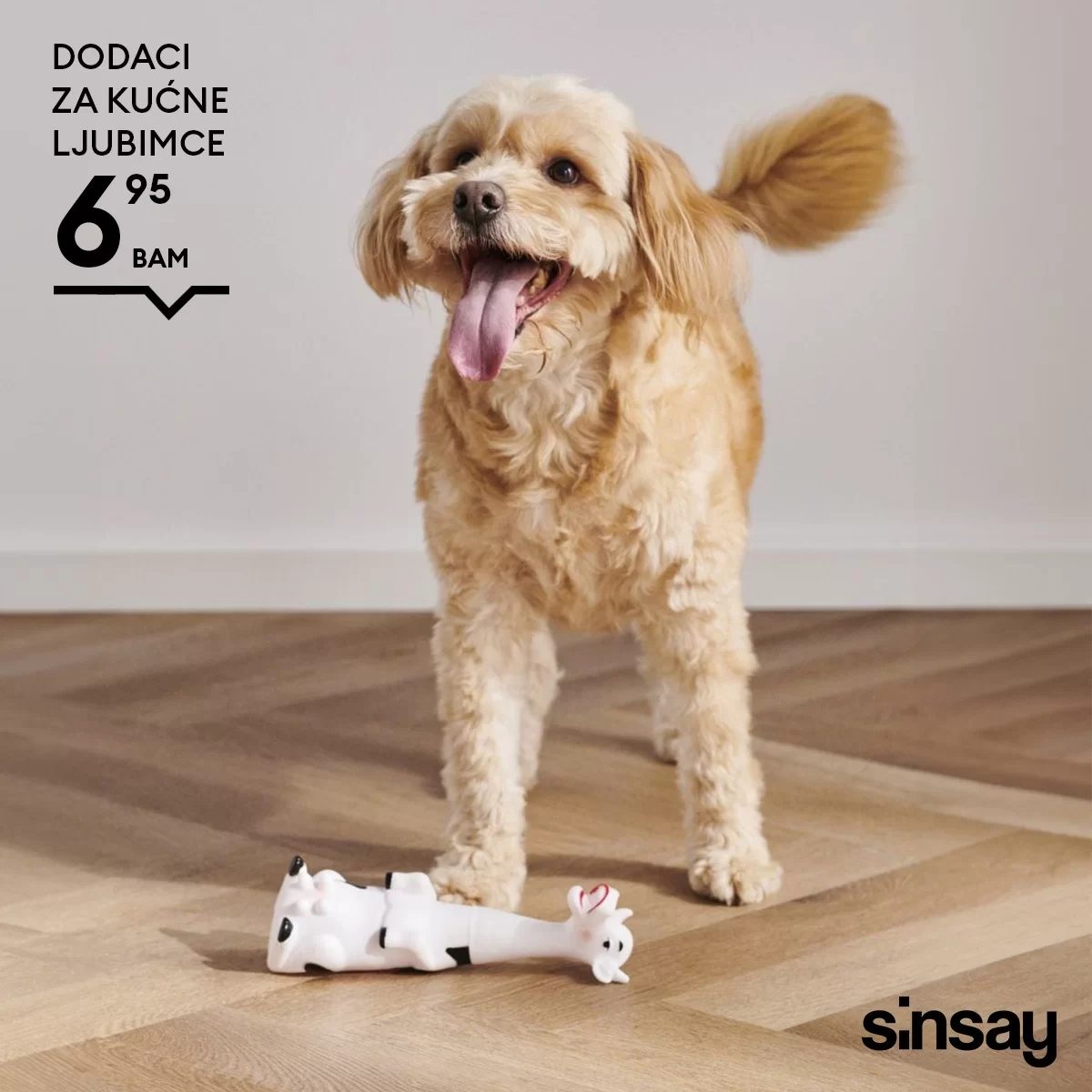 Sinsay KUĆNI LJUBIMCI mart 2024.