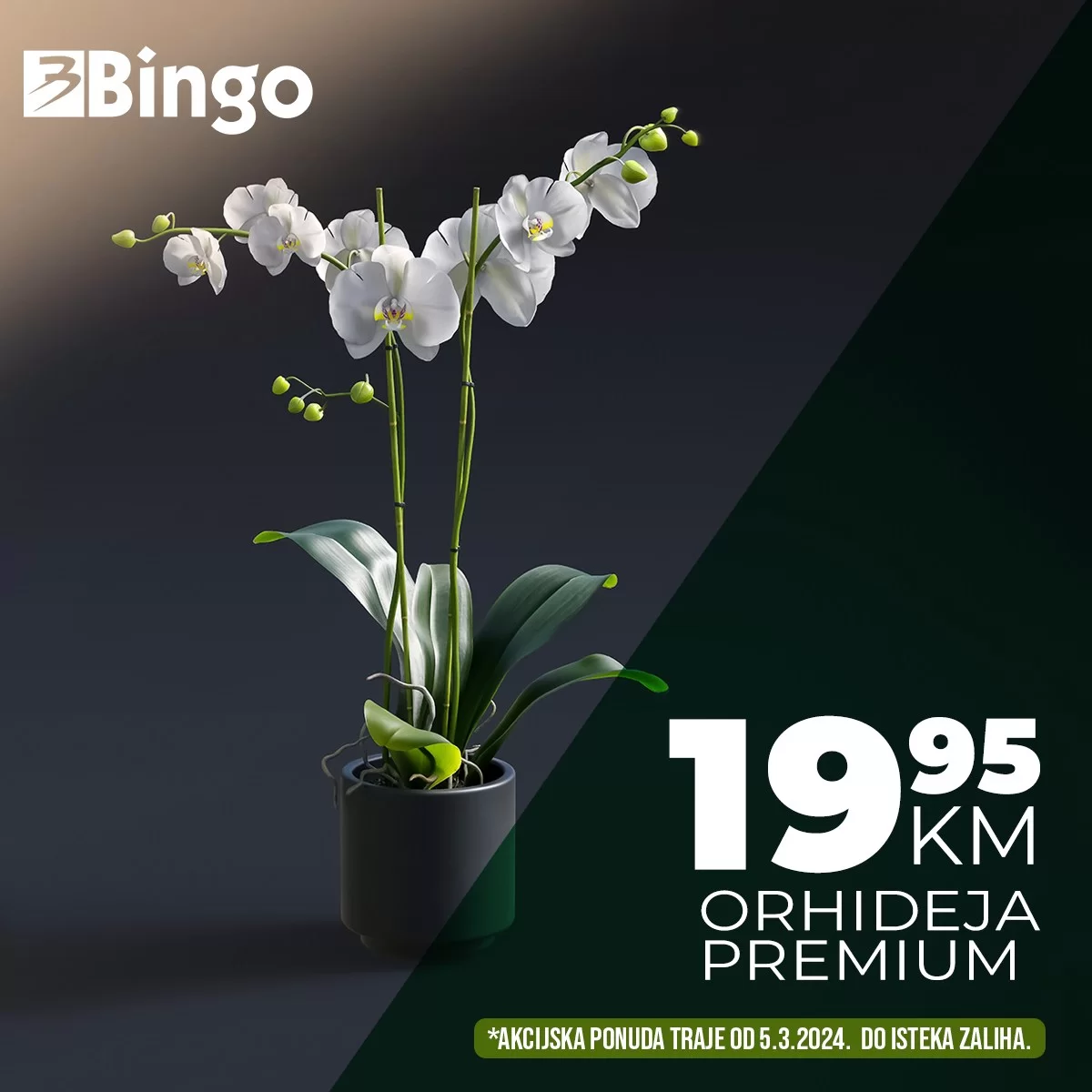 Bingo AKCIJA CVIJEĆE 8. MART