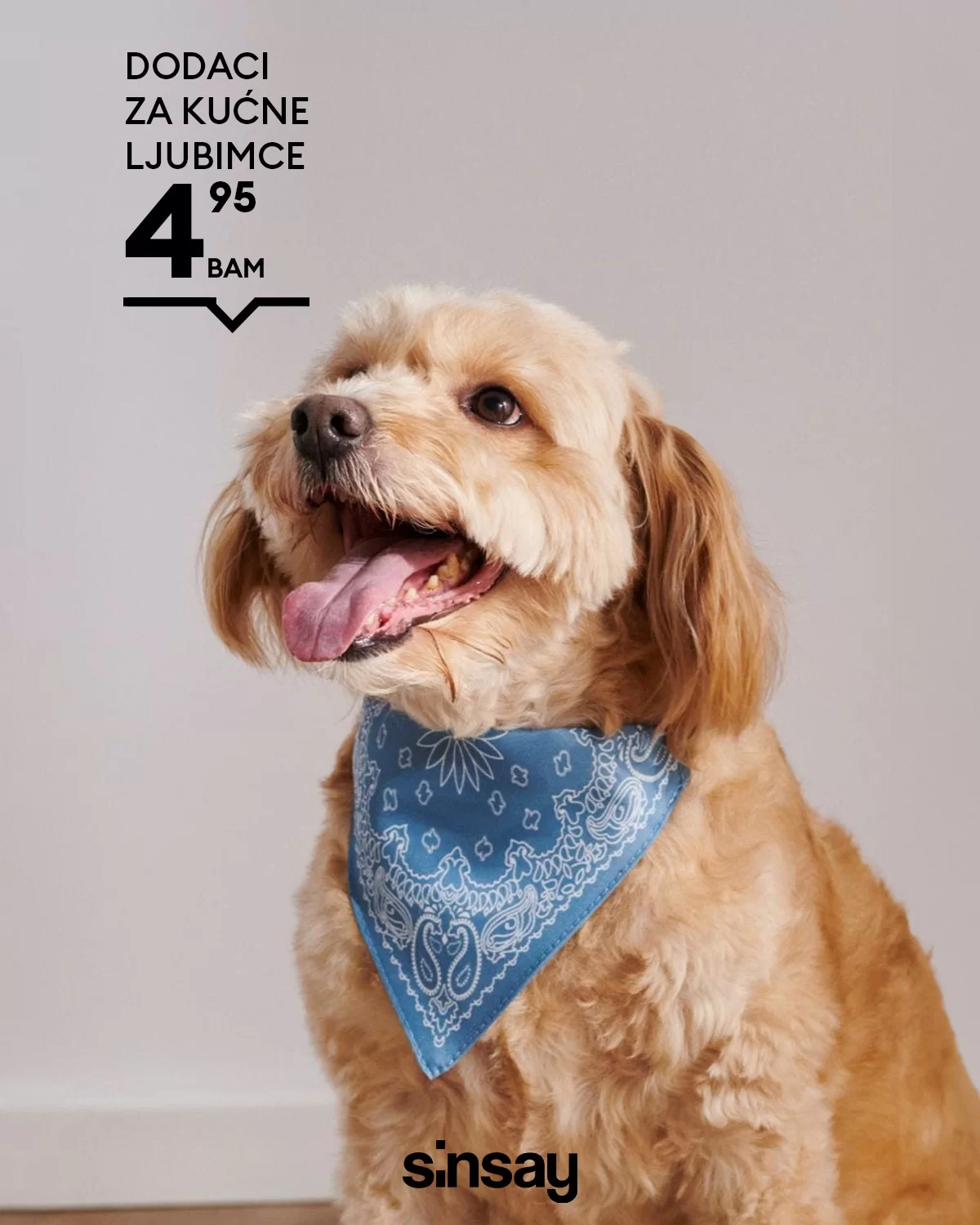 Sinsay KUĆNI LJUBIMCI mart 2024.