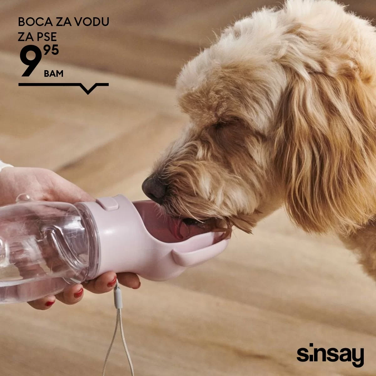 Sinsay KUĆNI LJUBIMCI mart 2024.