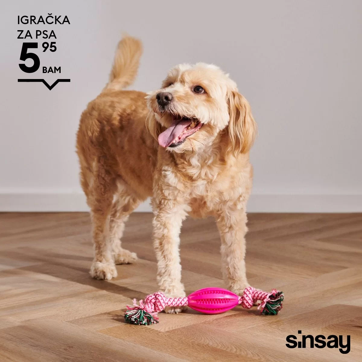 Sinsay KUĆNI LJUBIMCI mart 2024.