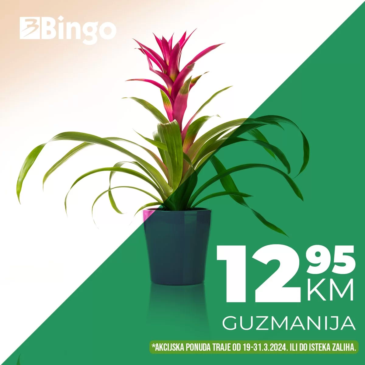 Bingo CVIJEĆE > Super akcija