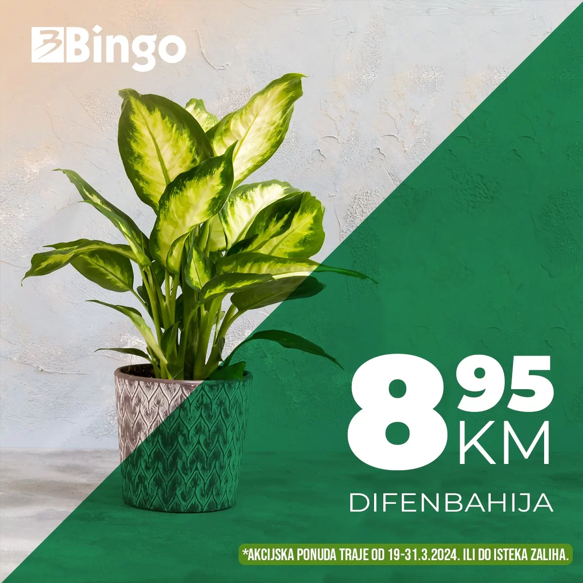 Bingo CVIJEĆE > Super akcija