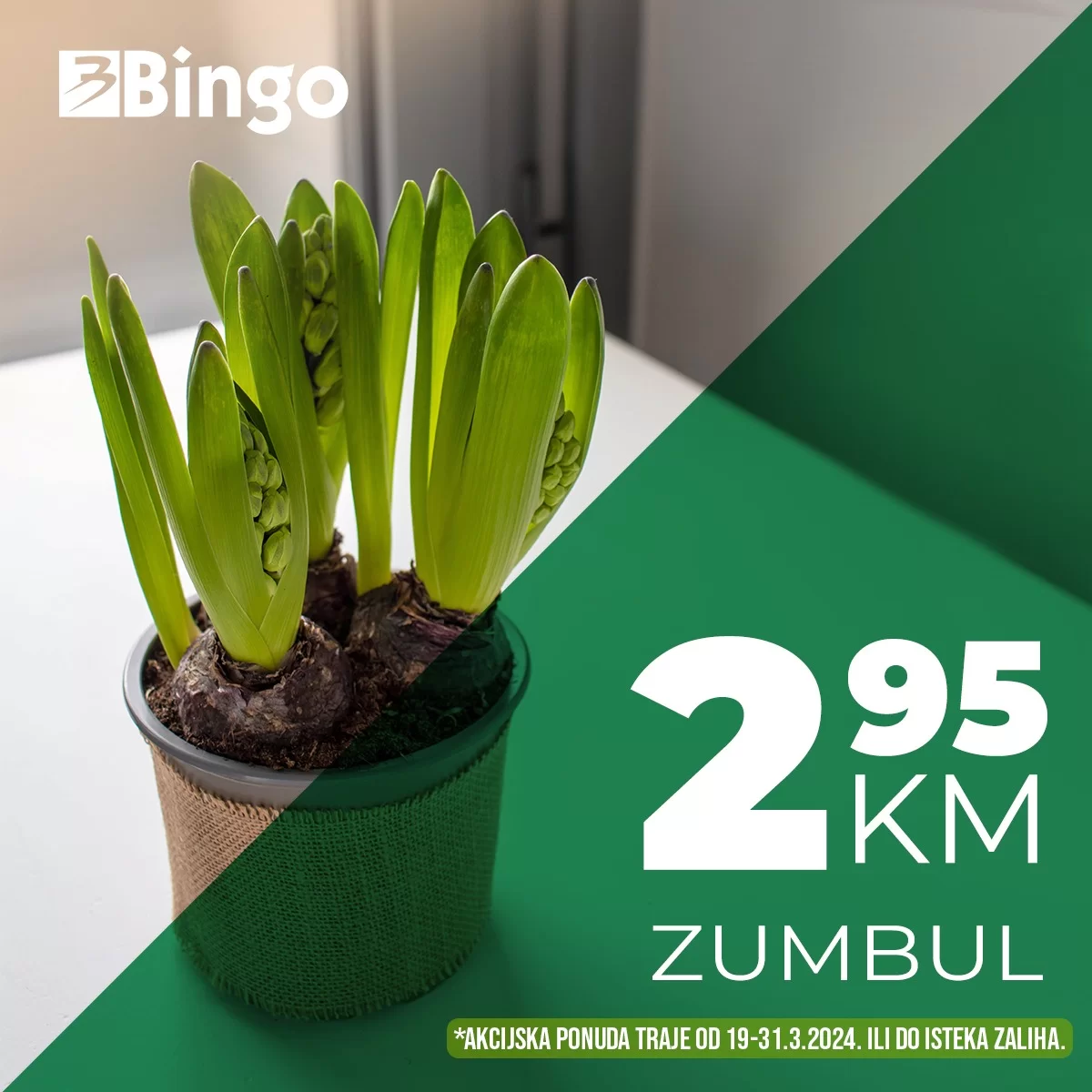 Bingo CVIJEĆE > Super akcija