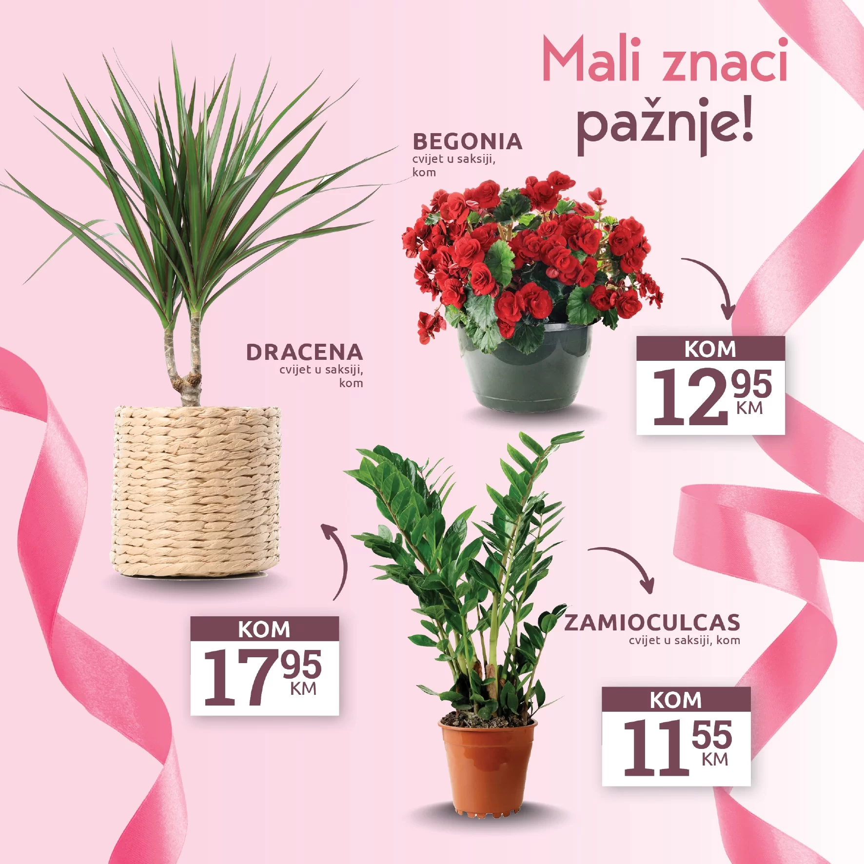 Konzum katalog 8. mart Dan žena 4-10.3.2024.