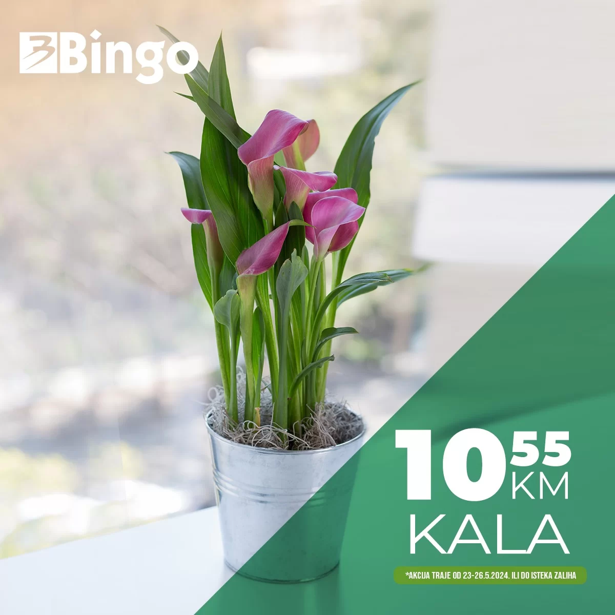 Bingo AKCIJA CVIJEĆE - sniženje do 26.5.2024.