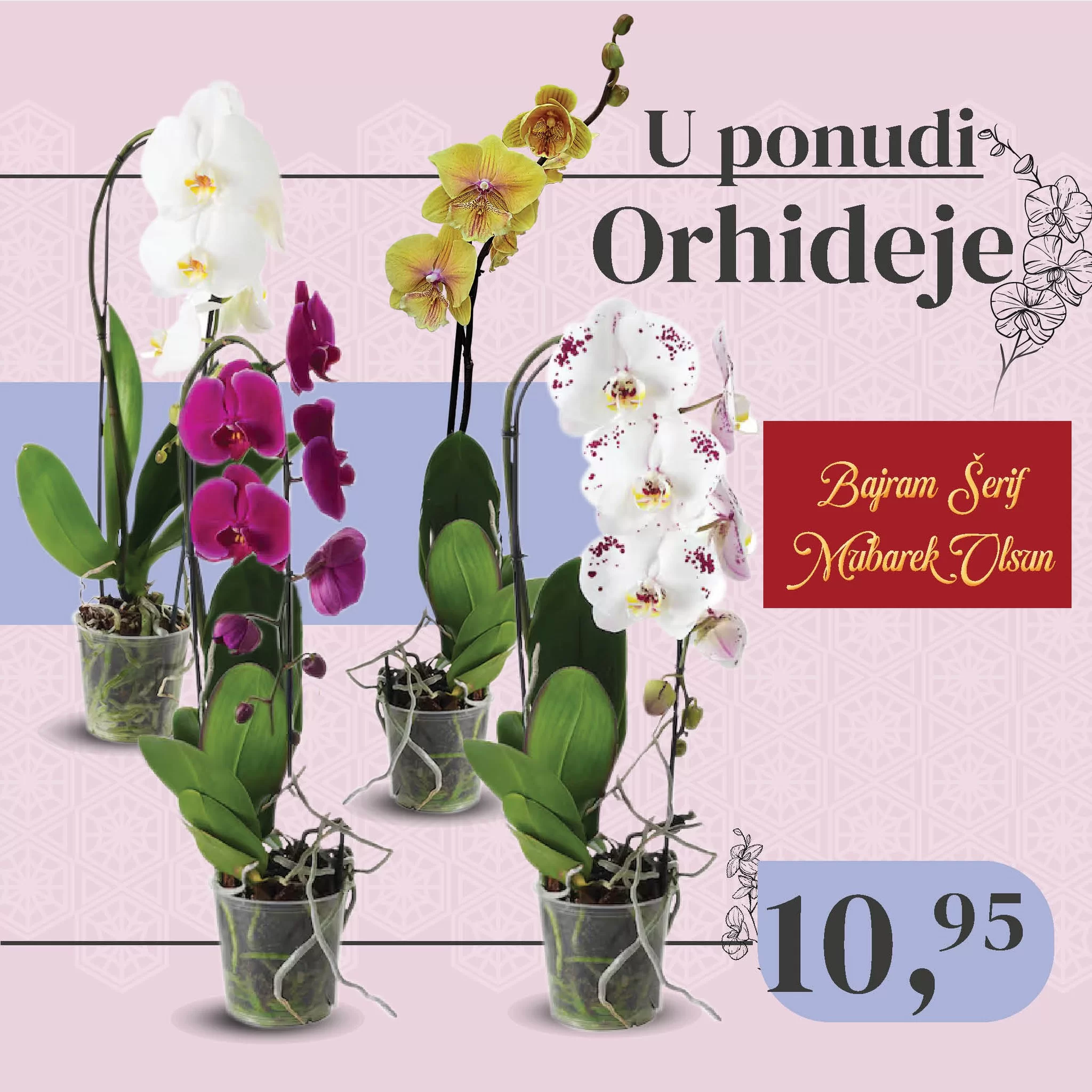 Robot ORHIDEJE SUPER CIJENA