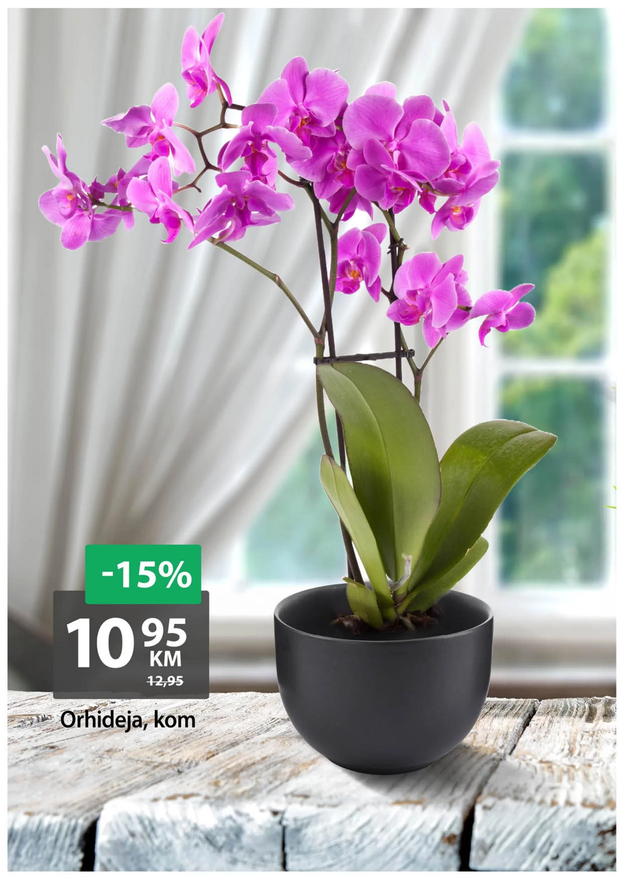 Bingo vikend akcija POSEBNA PONUDA 13.6-19.6.2024.