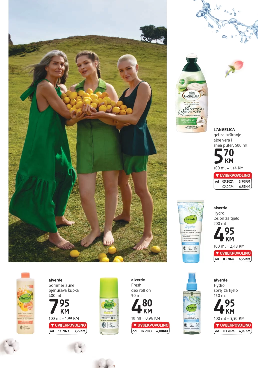 dm Katalog 31.7-13.8.2024.