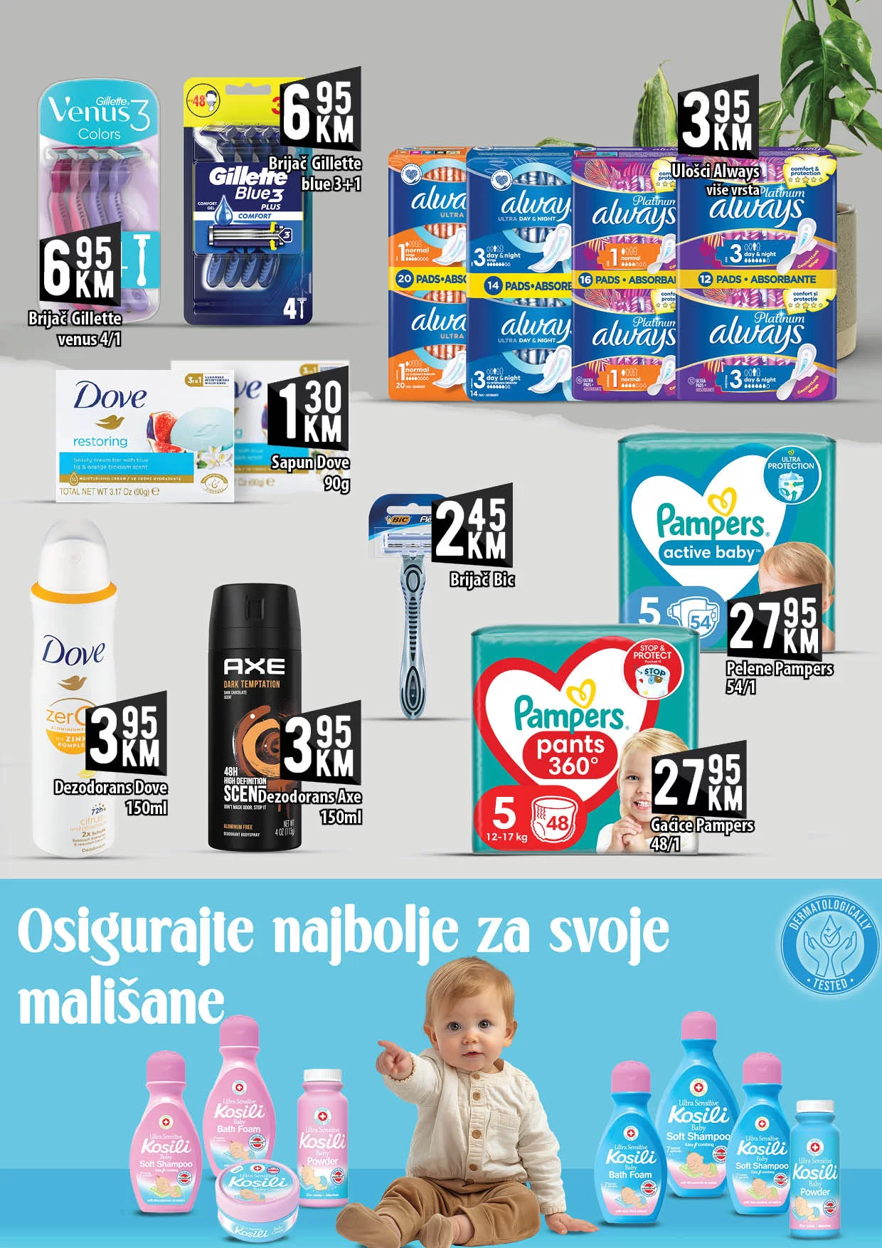 Kort katalog 9-28.8.2024.