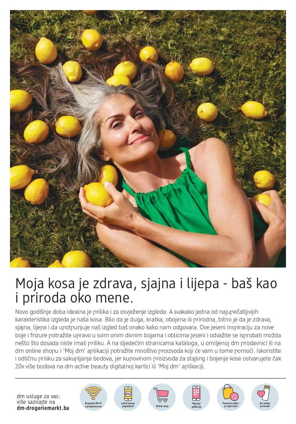 dm Katalog 25.9-8.10.2024