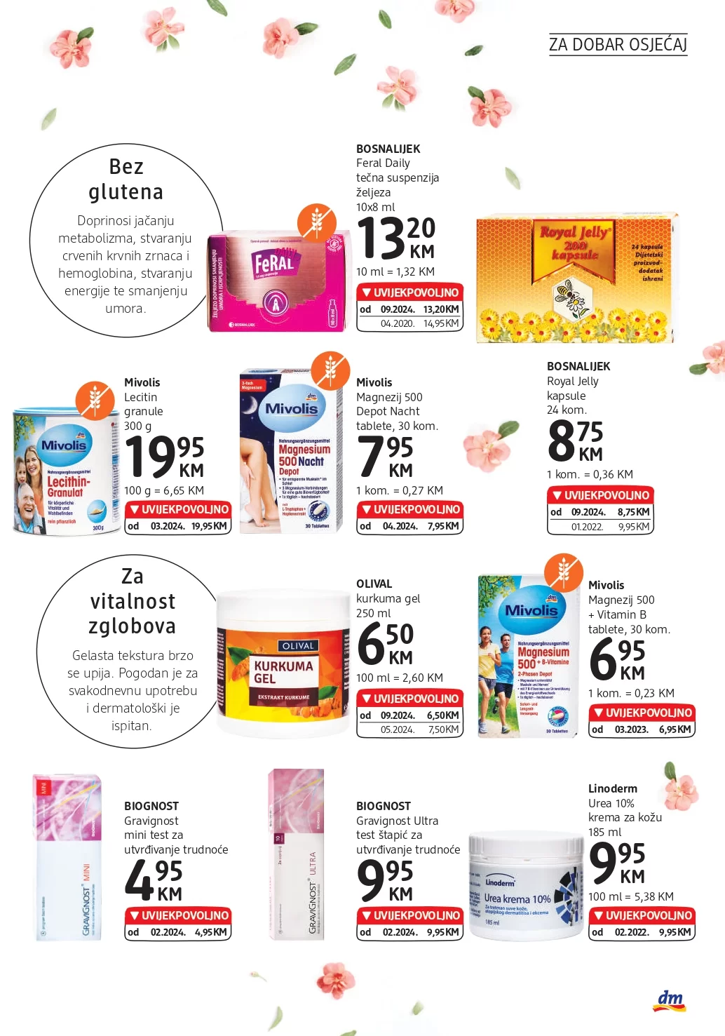 dm Katalog 25.9-8.10.2024