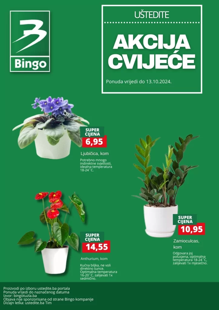 Bingo akcija CVIJEĆE - sniženje do 13.10.2024.