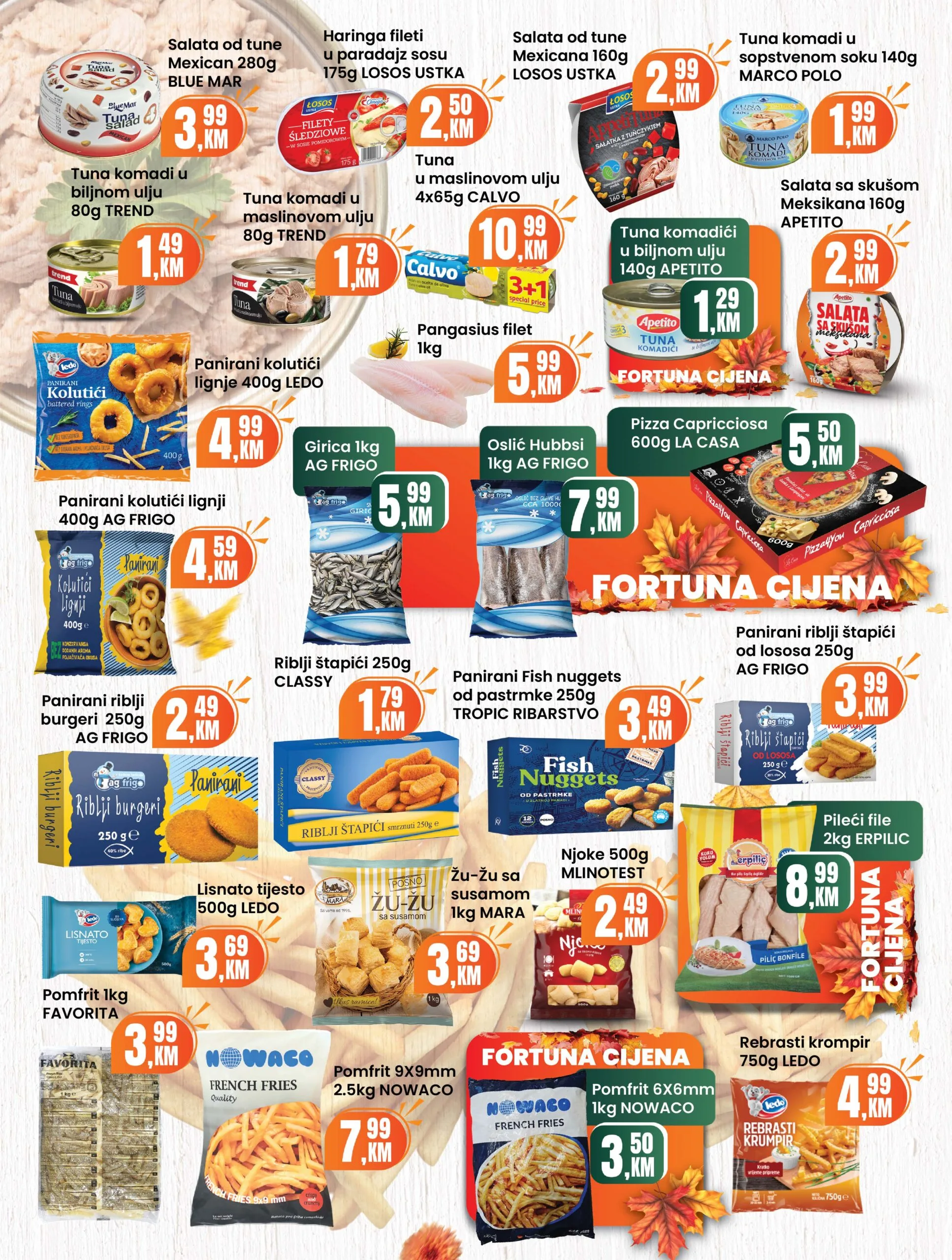 Fortuna katalog 1-30.11.2025.