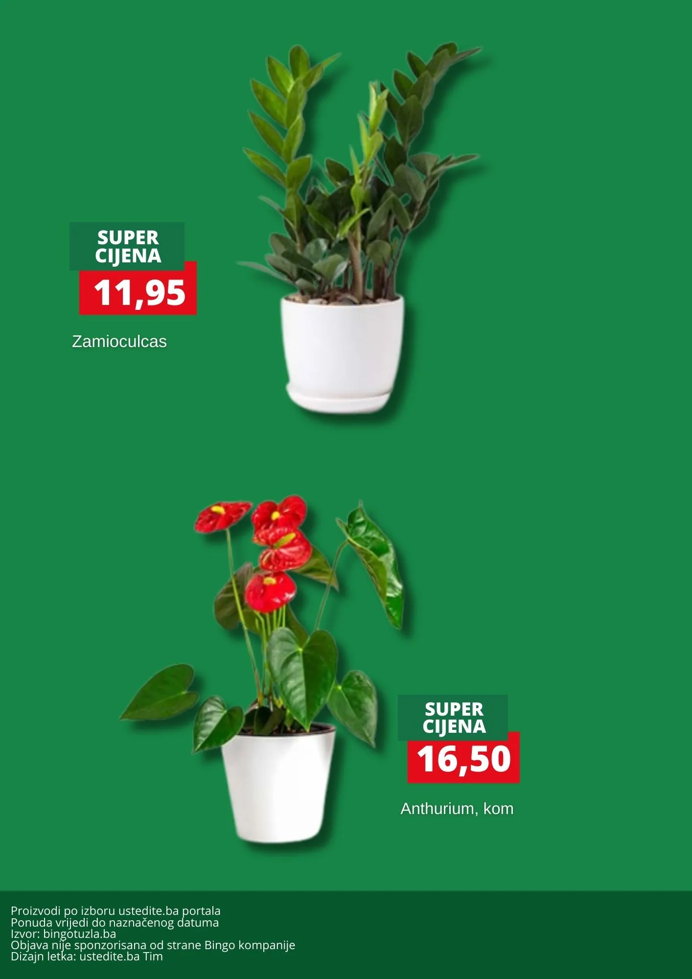 Bingo akcija CVIJEĆE - sniženje do 1.2.2026.