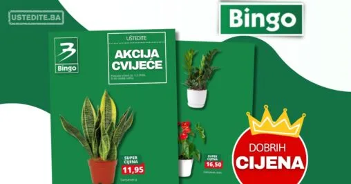 Bingo akcija CVIJEĆE - sniženje do 1.2.2026.