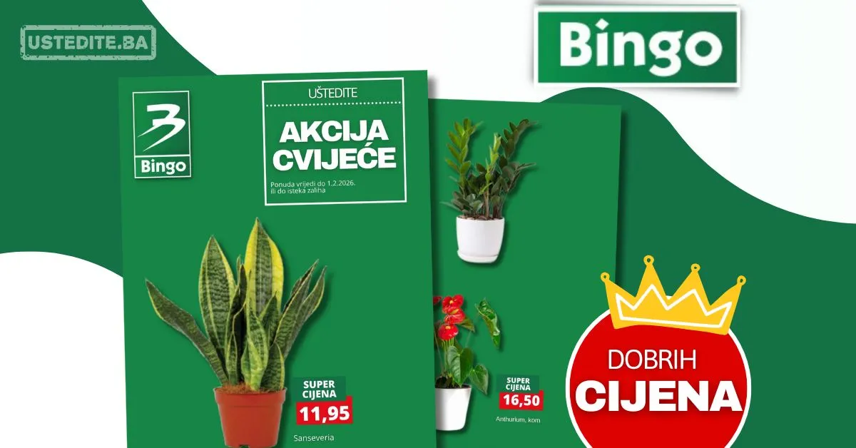 Bingo akcija CVIJEĆE - sniženje do 1.2.2026.