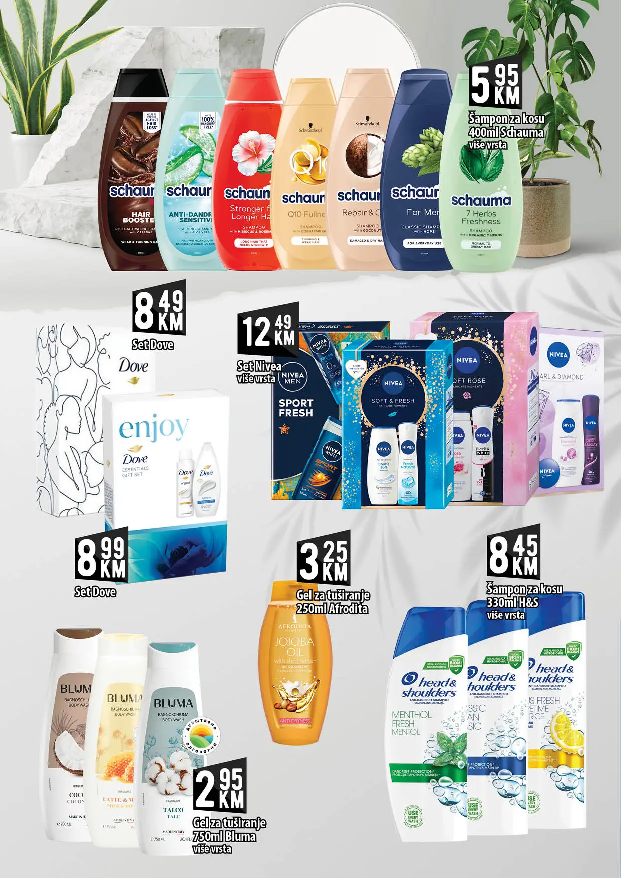 Kort katalog 12-28.1.2026.