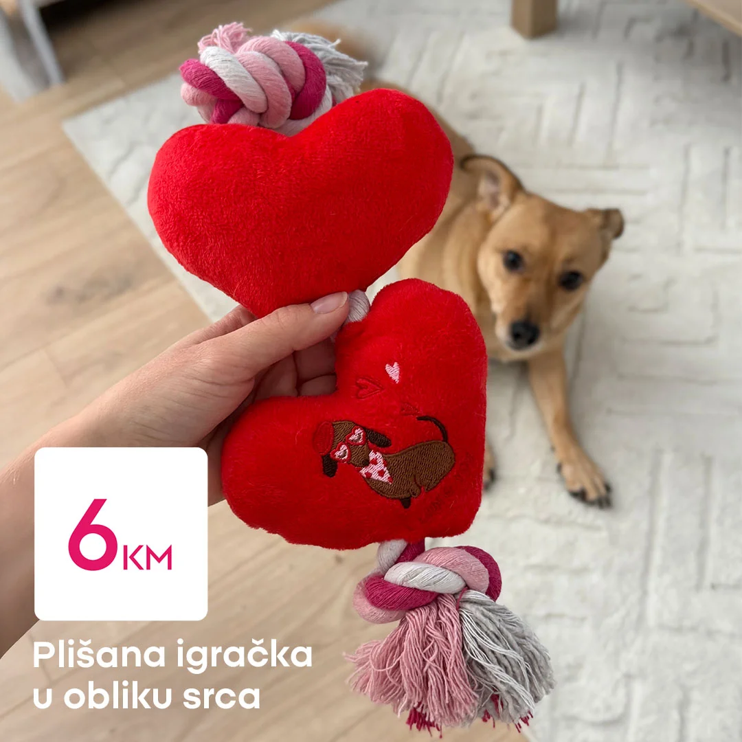 Pepco akcija - dodaci za pse februar 2026.