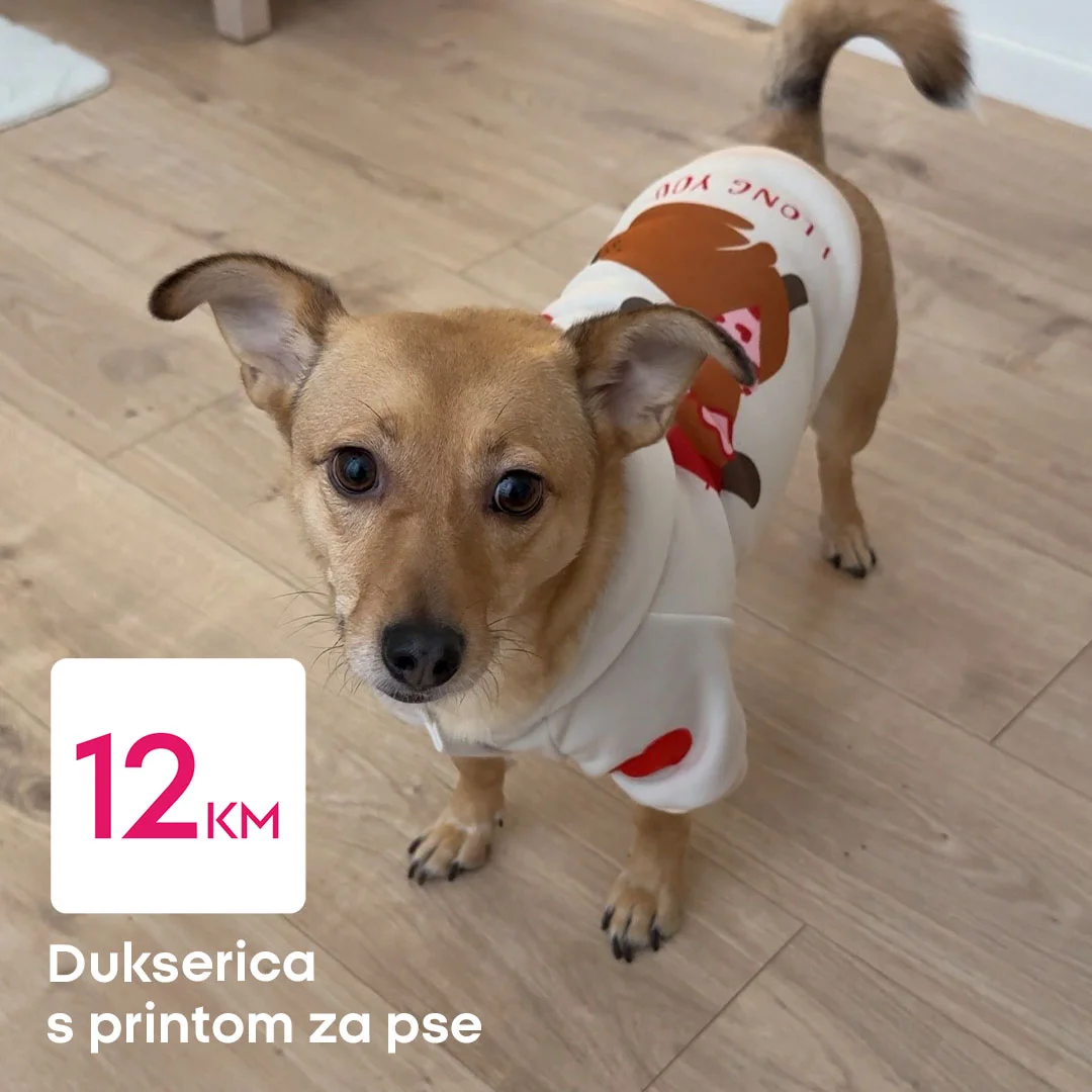 Pepco akcija - dodaci za pse februar 2026.