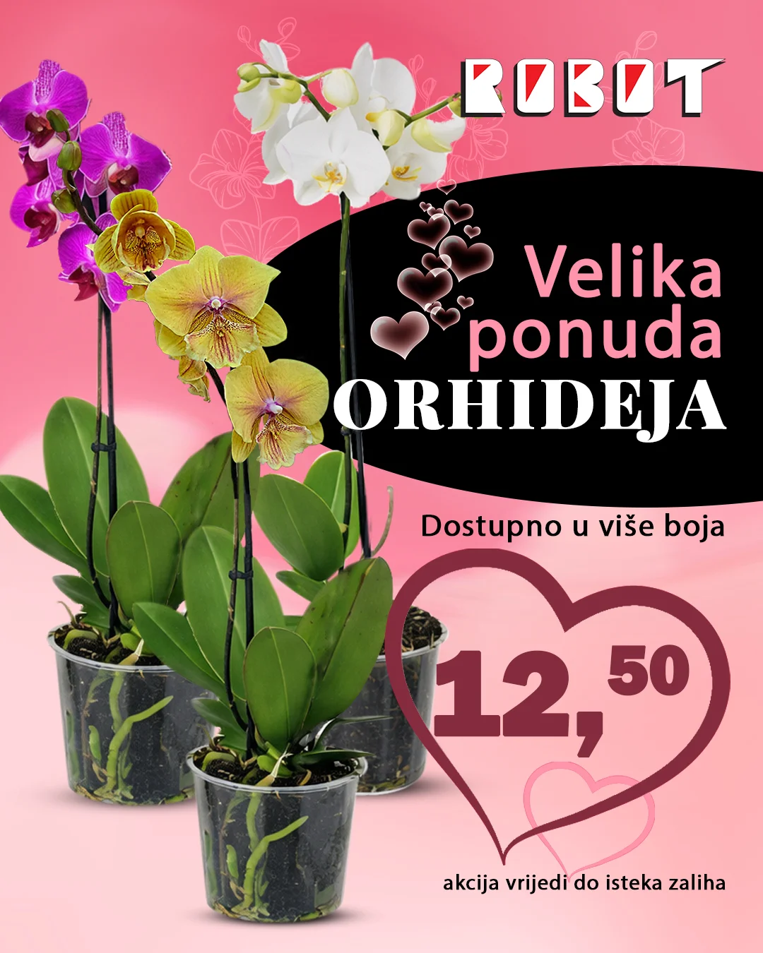 Robot VELIKA PONUDA ORHIDEJA 
