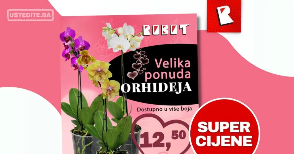 Robot VELIKA PONUDA ORHIDEJA