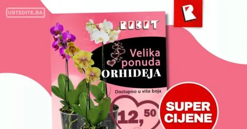 Robot VELIKA PONUDA ORHIDEJA