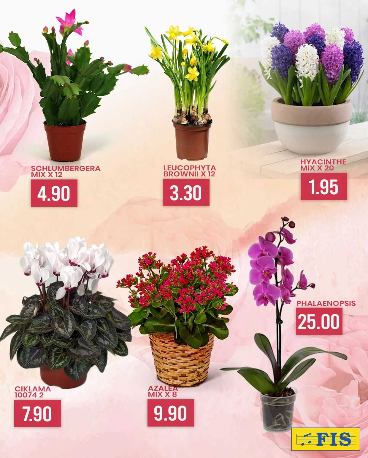 Fis katalog 8. MART 2-8.3.2026. 