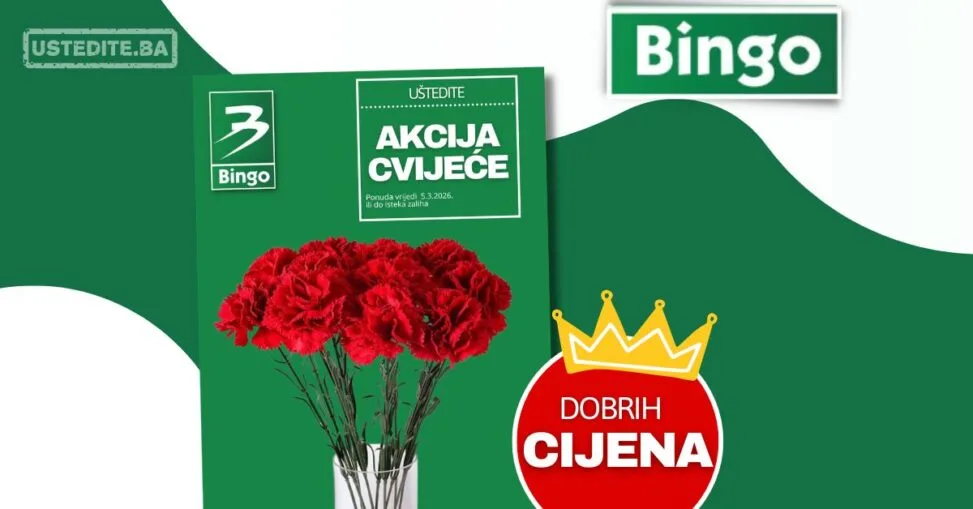 Bingo karanfil super cijena ~ idealan poklon za 8. mart