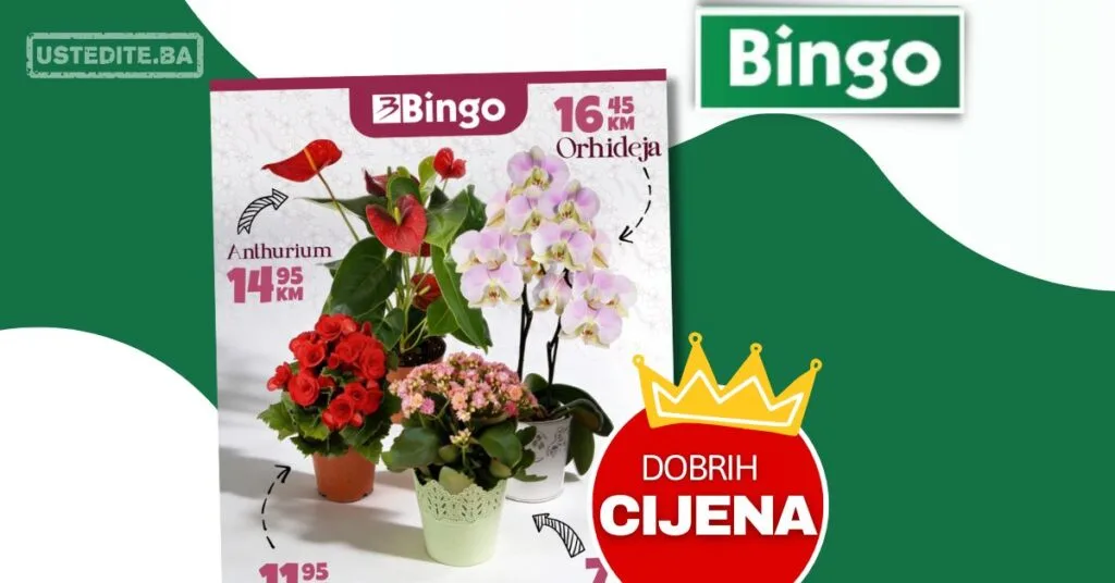 Bingo 8. mart super akcija cvijeca