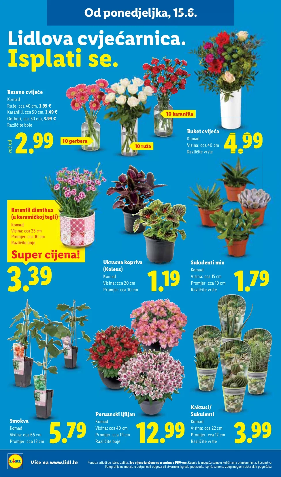 Lidl katalog HRVATSKA 15-21.6.2026. - str. 46